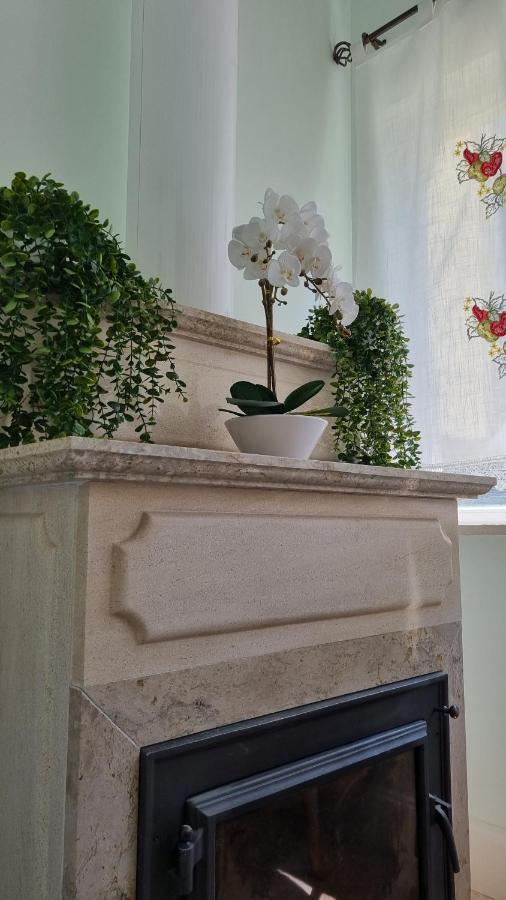 Apartament Casa Anjos Coimbra Zewnętrze zdjęcie